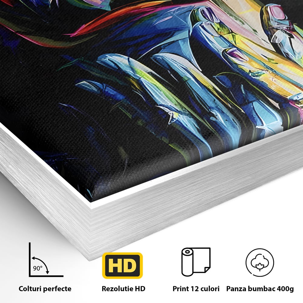 Detaliu al suprafetei: tablou canvas cu femeie stilizata, in rama de aluminiu argintiu